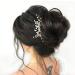 Jakawin Bride Wedding Hair Comb Crystal Silver Rhinestone Headpiece HC113 - Bridal Hair Accessories for Women/Girls - Buy Online on GoSupps.com
