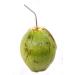Stord Coconut Opener - Open Fresh, Young White Coconuts in Seconds - Buy Online on GoSupps.com