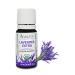Lavender Extra Essential Oil 100% Pure Undiluted French Lavandula angustifolia Therapeutic Grade Premium Quality Aromatherapy Oil Tested & Verified 10ML Lavender 10 Fl Oz (Pack of 1)