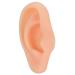 Ears Acupuncture Models Simulated Ear Silicone Soft Different Types Elicate for Training(Right)