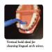 Curvex II Toothbrush - Advanced ergonomic design for superior cleaning - Buy Online on GoSupps.com