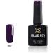 Bluesky Gel Nail Polish Oblivion A067 Dark Purple Long Lasting Chip Resistant 10 ml (Requires Drying Under UV LED Lamp) Oblivion 10 ml (Pack of 1) - Buy Online on GoSupps.com