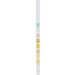 100pcs Ketone Urine Test Strips - Accurate & Fast Ketone Level Monitoring for Home Use | International Shipping Available - Buy Online on GoSupps.com
