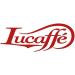 LUCAFF LUCAFFETTERIA Coffee Beans 2 kg Steel Canister Saves Aroma Arabica Gourmet Coffee Beans Fruity Taste Medium Roasting Intense Aroma Ideal for Bars and cafes - Buy Online on GoSupps.com