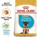 Royal Canin - German Shepherd Junior I Think for Young German Shepherd - Buy Online on GoSupps.com