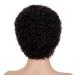 Boccte Afro Wig - Curly Short Human Hair Wigs for Black Women | Brazilian Natural Black No Cap Needed - Buy Online on GoSupps.com