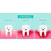 Perio Daily Defense Gel 3oz Tube - 1.7% Hydrogen Peroxide Oral Cleansing Treatment with Mint Flavor | Includes 2 Trays for Easy Application | At-Home Oral Care Solution - Buy Online on GoSupps.com