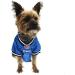 NFL Detroit Lions Dog Jersey - X-Large Football Costume for Dogs & Cats - Buy Online on GoSupps.com