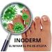 Inoderm PIMPLES Eczema Ringworm Acne OINTMENT (2.5 oz.) - Fast-acting Skincare Solution - Buy Online on GoSupps.com