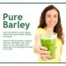 Buy Sante Barley New Zealand Organic Barley Grass Powder Juice with Stevia - 30 Sachets (90g) for International Shipping | Pure & Natural Health Supplement - Buy Online on GoSupps.com