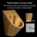 Inodoro moderno para ba o inodoro suspendido de Acero inoxidable 304 para Hombres sanitarios de inducci n drenaje de pared inodoros p blicos Red Bronze Urinal - Buy Online on GoSupps.com