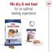 Royal Canin Maxi Dry Adult Dog Food 3kg - Buy Online on GoSupps.com