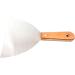 Baoblaze Pigeon Loft Cleaning Scraper for Pigeon Supplies Cleaning Supplies Portable with Handle Handheld Durable Tool - Buy Online on GoSupps.com