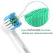WuYan Toothbrush Heads for Oral B - 16 Pack Replacement Heads Compatible with Professional Care Triumph & Advance Power - Best Electric Toothbrush Accessories - Buy Online on GoSupps.com