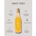 TST All-Natural Alcohol-Free Sparkling Beverage 25.4 Fl Oz - Pack of 3 - Buy Online on GoSupps.com