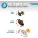 Our Pets Play-N-Squeak Cat Toy Mouse with Catnip - Interactive Mouse Toy for Indoor Cats with Real Mouse Sound - Kitty and Kitten Enrichment Toy - Pack of 2 - Buy Online on GoSupps.com