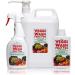 Food Safe Veggi Wash Concentrate 500ml - Natural and Effective Solution - Buy Online on GoSupps.com