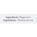 Twinings of London Pure Peppermint Tea K-Cups for Keurig | Naturally Caffeine-Free | Made with 100% Pure Peppermint | 24 Count (Pack of 4) | Enjoy Hot or Iced Peppermint 24 Count (Pack of 4) - Buy Online on GoSupps.com