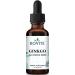 Kovite Ginkgo Alcohol Free - 1 fl oz. (30 ml)