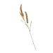 Zerodeko 2pcs Simulated Ears of Corn Dried Wheat Decor Vegetable Plants Dried Wheat Stalks for Decorations Thanksgiving Bouquets Home Decor Fake Grass Decor House Artificial Pu Ornaments Greenx2pcs 12X75CMx2pcs