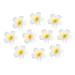 FRCOLOR Women's Hawaiian Plumeria Flower Hair Clip Wedding Bridal Hairpin Barrette Hair Accessories - 10 Pieces