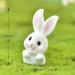 9 Pcs Bunny Birthday Decorations Rabbit Carrot Cake Picks For Baby Shower Birthday Party Supplies - Buy Online on GoSupps.com