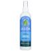 Jason Thin-to-Thick Extra Volume Hair Spray - 8 oz - 2 pk