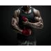Anabol Power Extrem Testo Booster mit Tribulus Terrestris Effektiver Muskelaufbau f r maximales Wachstum | Internationaler Versand - Buy Online on GoSupps.com