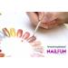 10 Pieces Clearly Transparent Color Wheel Tip Rondell - 20 Nails for UV-Gel Nail Polish - Perfect for Nail Art Display - Buy Online on GoSupps.com