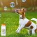 St llion K9 Bacon Bubbles for Dogs - Interactive Toy with Special Vegan Bacon Formula - Non-Toxic Pet Toy (150ml) - Buy Online on GoSupps.com