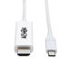 Tripp Lite USB C to HDMI Cable Adapter (M/Thunderbolt 3 HDMI Cable Adapter Gen 1 Converter On HDMI End 4K HDMI 60 Hz 4: White 6 ft. (U444-006-H4K6WE) White 6 ft End Converter