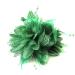 Flower Feather Bead Corsage Hair Clips Fascinator Hairband and Pin (Green)