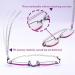 ACXZ Stylish Reading Glasses for Women - Purple Light Filter Computer Glasses with Spring Hinge (Strengths 1.25 to 3.0) - Buy Online on GoSupps.com