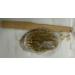 MCUILEE Wooden Bath Brush Set - Soft Bristle Body Massager with Long Handle for Shower & Back (2 Pack) - Ideal for Smooth Skin & Relaxation - Buy Online on GoSupps.com