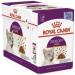 Royal Canin Sensory Taste in Jelly Wet Cat Food 85g (Pack of 48) - Buy Online on GoSupps.com