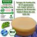 KIT COMPL TE KOMBUCHA FRAIS SCOBY KOMBUCHA - Avec Inscription Sanitaire (RGSEAA) - Pr parez Votre Propre Th Biologique Kombucha la Maison - Buy Online on GoSupps.com