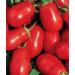 Speckled Semi Romana pomodoro Non OGM Per la Salsa e Fresco (20) - Buy Online on GoSupps.com