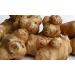 Sunchokes Adama Foods 2.5 lbs - Planting or Eating | Fast 2-Day Shipping with FEDEX - Buy Online on GoSupps.com