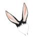 hgnxa Girls Anime Hairhoop Plush -Ear Headband/Tail Cosplay Costume Party Lovely Headdress Women -Show Headwear Headband Black Powde