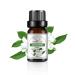Bottles Water Soluble Essential Oil Set Natural Fresh Air Versatile and Practical - Water Soluble Essential Oil (4)