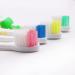 Clypolly Kids Bee Toothbrushes - Pack of 12 | Soft Bristles | Child-Sized Brush Head for Toddlers 3-12 Years | Individually Wrapped - Buy Online on GoSupps.com