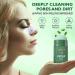 Green Hills Tea Mask Stick with Blackhead Remover - Clay Face Extract for Oil Control, Acne Cleansing, Pore Minimizing - Purifying Detox Mask for Men & Women - 1 Pack - Buy Online on GoSupps.com