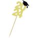 24 Pcs 2024 Graduation Cap Cupcake Toppers Theme Party Cake Decoration Dessert Insert MGPFERD - Buy Online on GoSupps.com