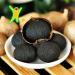 ONETANG Black Garlic 250g - 90 Days Fermented, High Antioxidants, Pack of 2 (8.81 oz) - No Additives - Buy Online on GoSupps.com