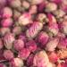  RUE DES PLANTES RUE DES PLANTES - Pink buds Bulk 100g - for tea herbal tea or cooking - dried rose buds - Buy Online on GoSupps.com