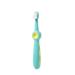 Suicra toothbrush sweets colors toothbrush for toothbrush teeth care for oral cleaning anti-slip handle cute (color: green) green