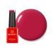 Bluesky Gel Nail Polish Pastel Red - A119 Red Long Lasting Chip Resistant 5ml (Requires Drying Under UV LED Lamp) Red 5 ml (Pack of 1)