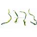 Wakame Seaweed Stalk Dried Dried For Salad Natural From China Fujian 400g in Bulk - Buy Online on GoSupps.com