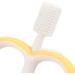 Silicone Toothbrush Training Oral Care Teeth Cleaning Brush Fruit Shape Infants Baby(yellow) - Buy Online on GoSupps.com