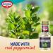 Dr.Oetker American Peppermint Natural Extract (35Ml X 2) _Suitable for vegans_Made from real _Make homemade mint chocolate treatsMake homemade mint chocolate treats.peppermint - Buy Online on GoSupps.com